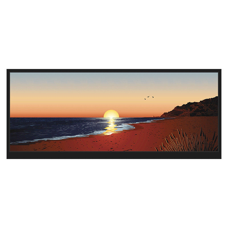 Lesbarer HDMI LCD Zoll 1920x720 LCM-TFT123T61FHHDVNSDC des Sonnenlicht-der Anzeigen-12,3
